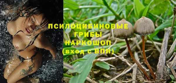 прущая мука Богородск