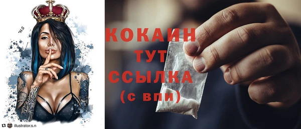 эйфоретик Богданович