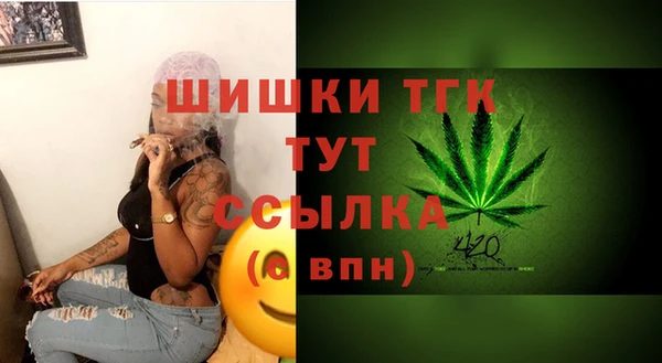 эйфоретик Богданович