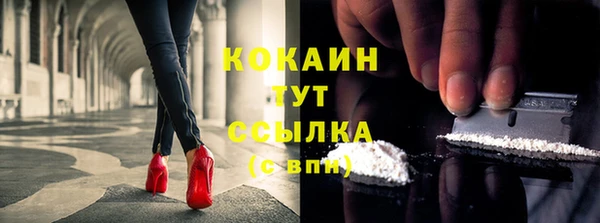 эйфоретик Богданович