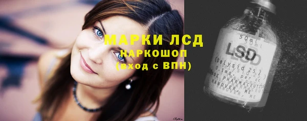 эйфоретик Богданович