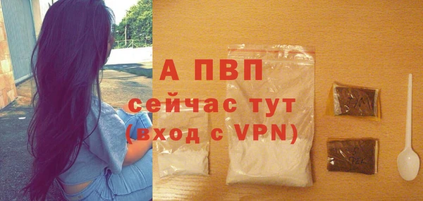 эйфоретик Богданович