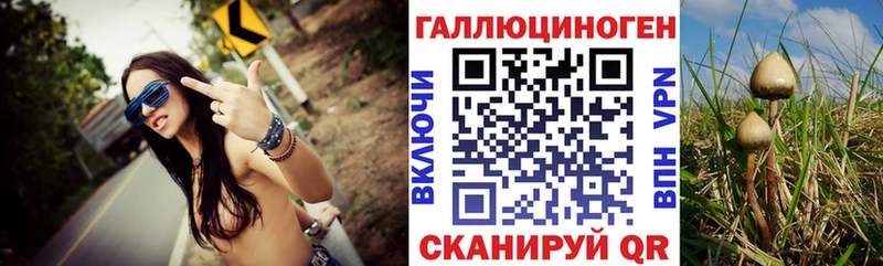 kraken как войти  Долинск  Псилоцибиновые грибы прущие грибы 